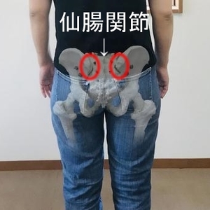 仙腸関節障害